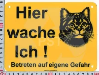 Hier wache Katze